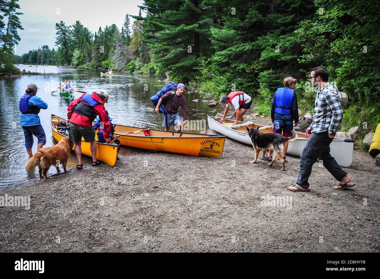 Portage Point, Kanufahren im Algonquin Provincial PARK in Ontario, ONTARIO, KANADA. Stockfoto