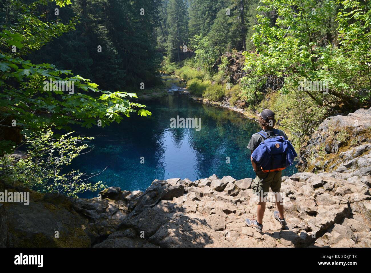 Wandern steht über dem Blue Pool, Tamolitch Falls, McKenzie River, Oregon, USA, ein beliebter und wirklich kalter Badeplatz. Stockfoto