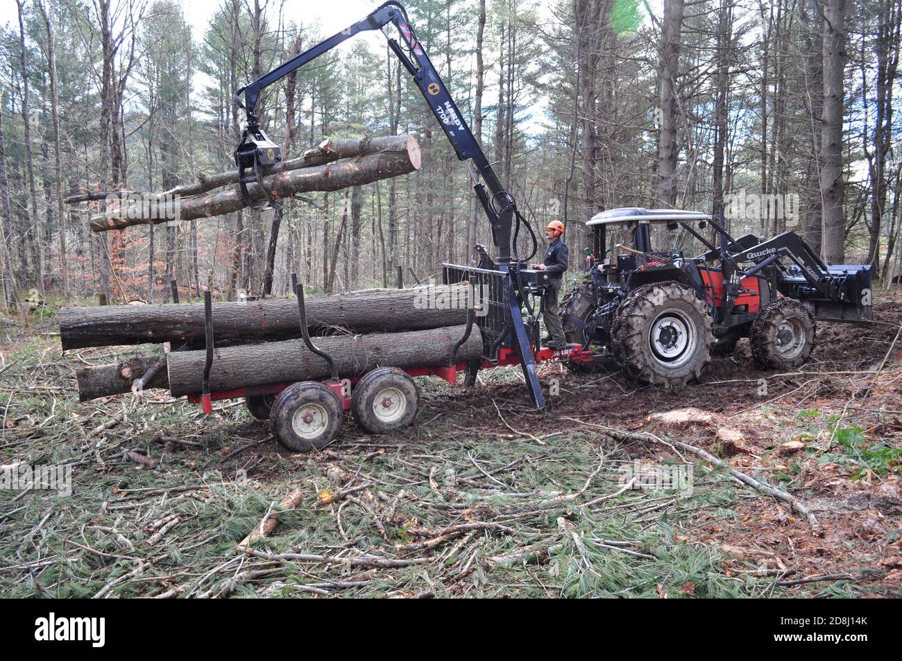 Der kleine mechanisierte Logger verwendet einen Forwarder, um geerntete Baumstämme in Montpelier, im Zentrum von Vermont, USA, zu bewegen. Stockfoto