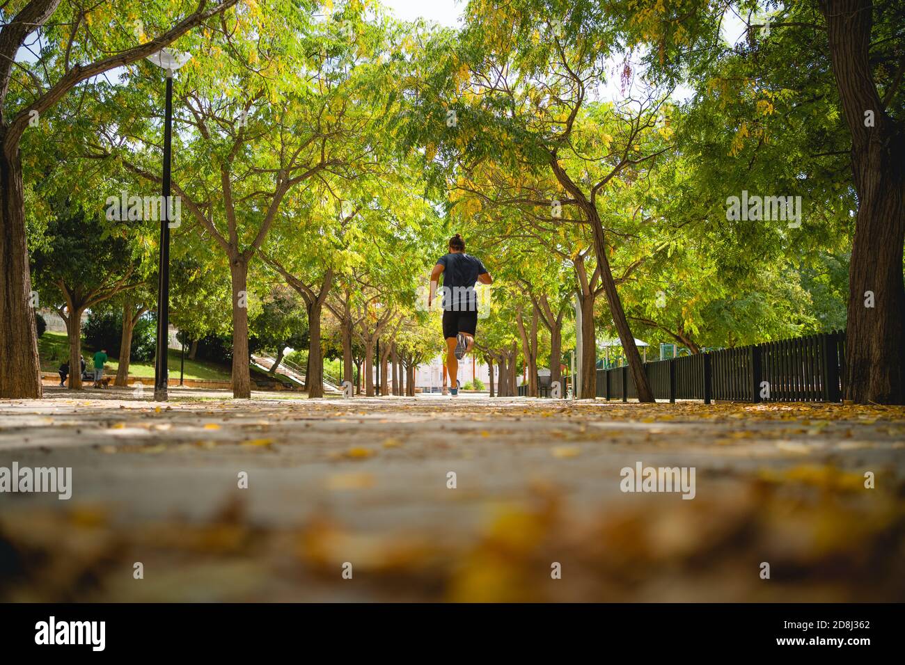 Fit Mann läuft auf der Hauptstraße eines Parks Viele Blätter im Winter Stockfoto