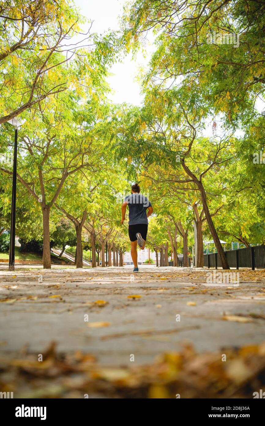 Fit Mann läuft auf der Hauptstraße eines Parks Viele Blätter im Winter Stockfoto