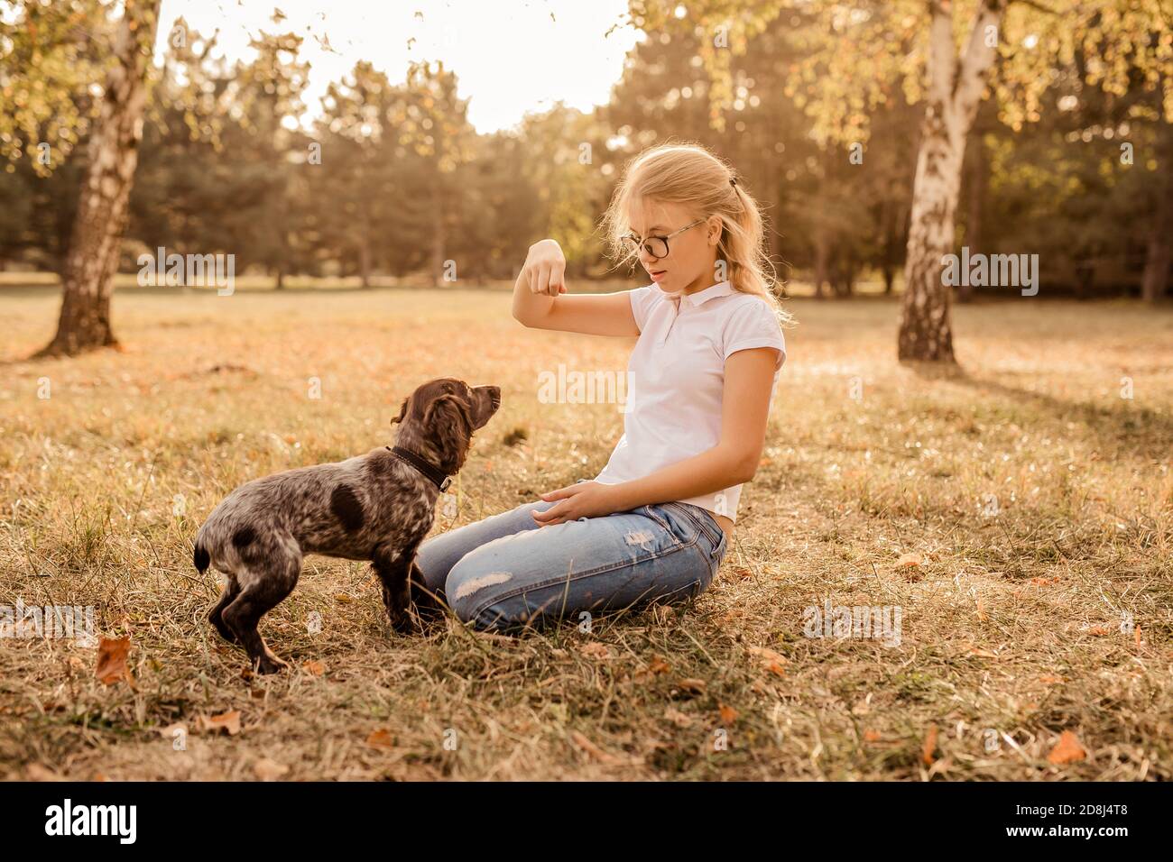 Teenager-Mädchen mit Brille auf Gras spielen mit ihrem kleinen Hund, braun Cocker Spaniel Welpen, im Freien, in einem Park Stockfoto