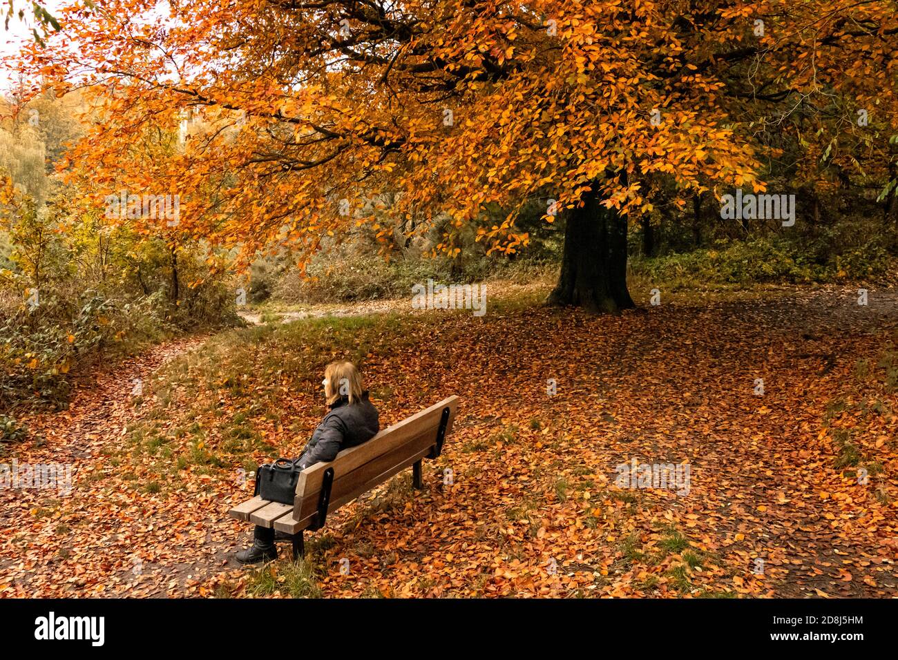 Menschen genießen Hamstead Heath während London in Tier 3 Lockdown wegen Corona Virus. Stockfoto