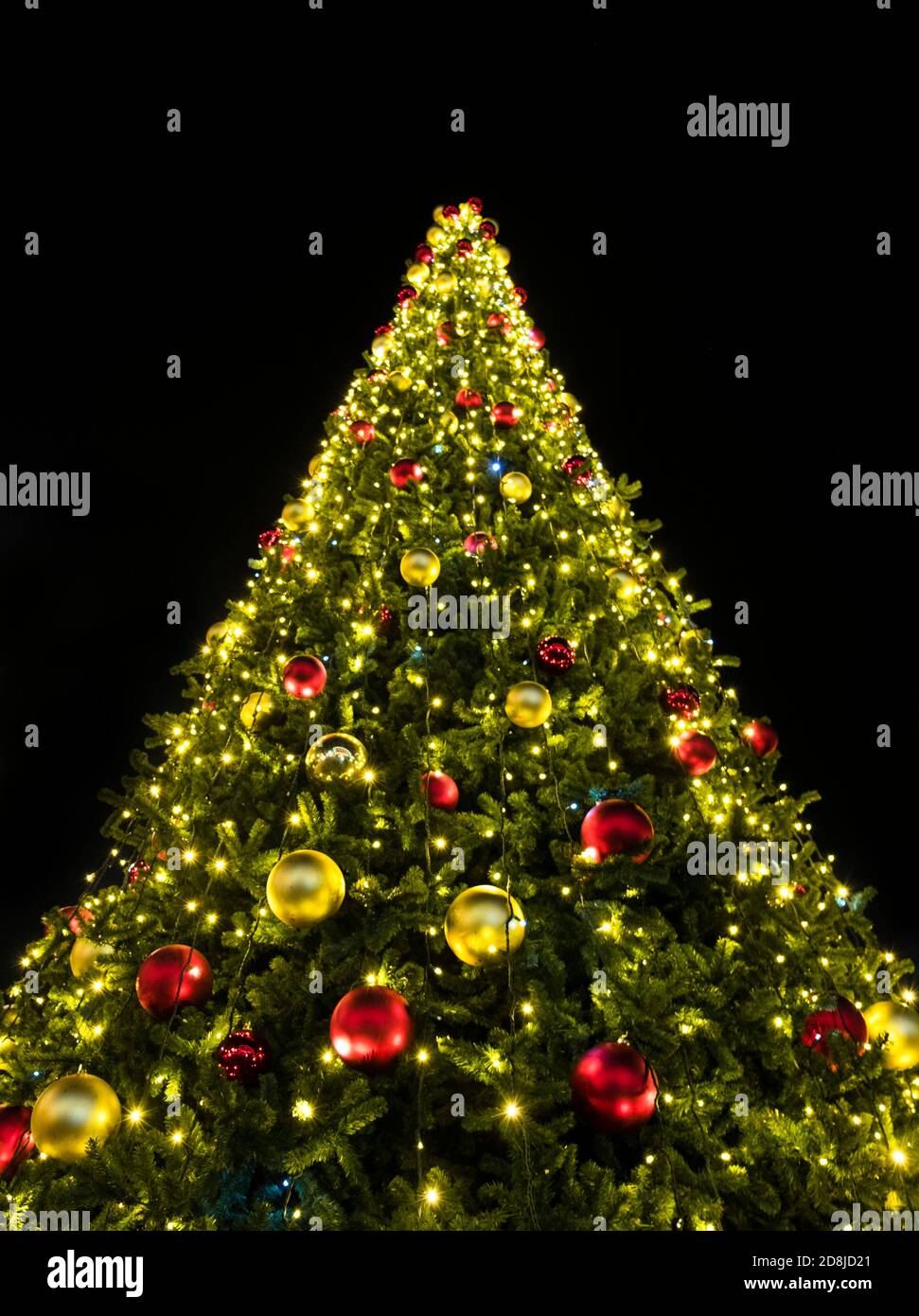 Schöner weihnachtsbaum mit leuchtenden Lichtern in der Nacht. Stockfoto