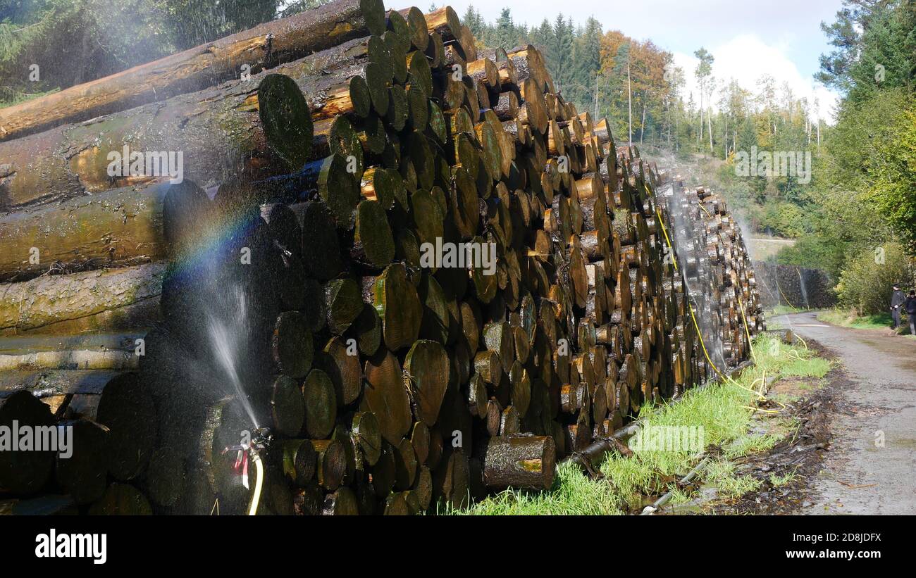 Feuchtigkeitskontrollierte Lagerung von Baumstämmen im Schwarzwald in deutschland entlang eines Weges. Das Sprühwasser erzeugt einen Regenbogen. Stockfoto