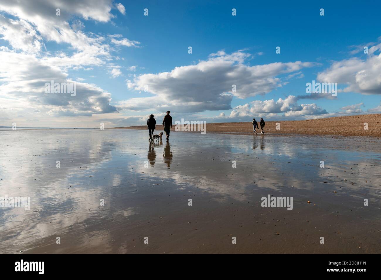 Menschen, die Hunde am Strand bei Ebbe unter einem großen Himmel laufen. Stockfoto
