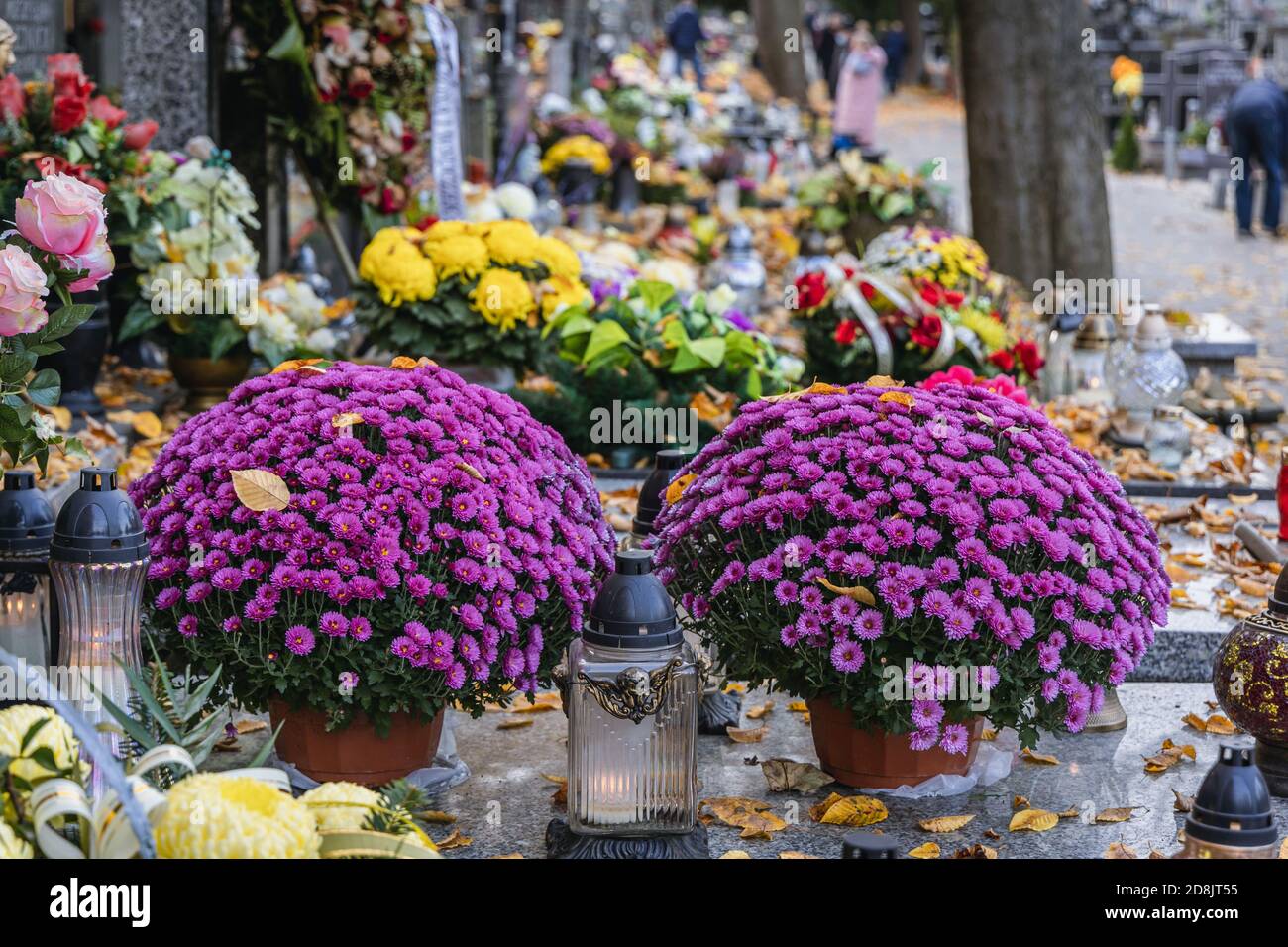 Kerzen und Blumen auf dem Wolski Friedhof in Warschau, wenige Tage vor Allerheiligen Fest in Polen Stockfoto