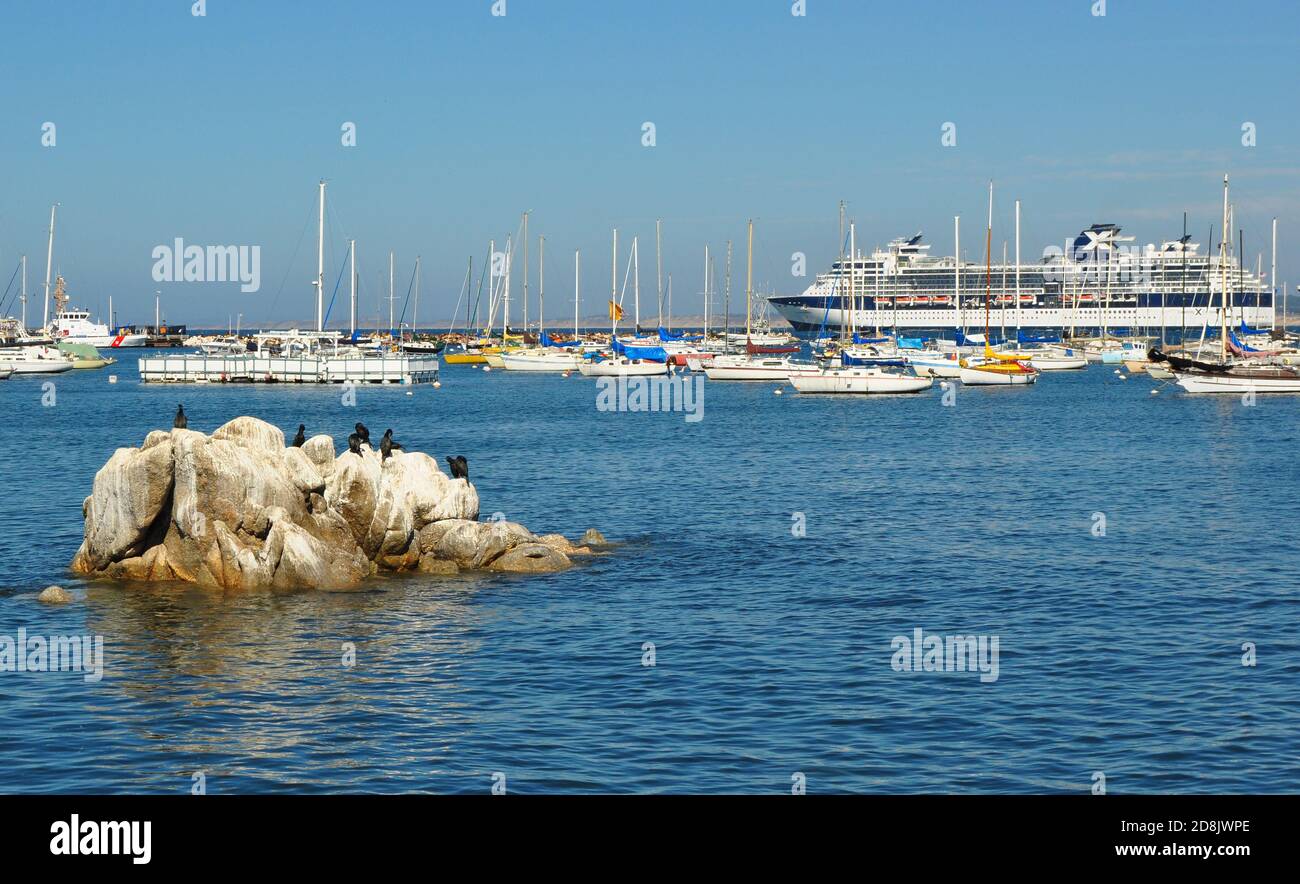 Kleine Segelboote und große Celebrity Cruises Kreuzer vor Anker im Hafen von Monterey, Kalifornien. Kormoran Vögel ruhen auf dem Felsen im Vordergrund. Stockfoto