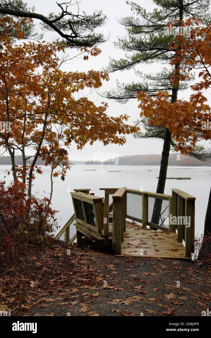 Wanderweg auf öffentlichem Gelände in der Nähe von Damariscotta, Maine. Schöne neue Treppen führen hinunter zu einem kleinen Dock am Damariscotta River (Gezeitenfluss). Stockfoto