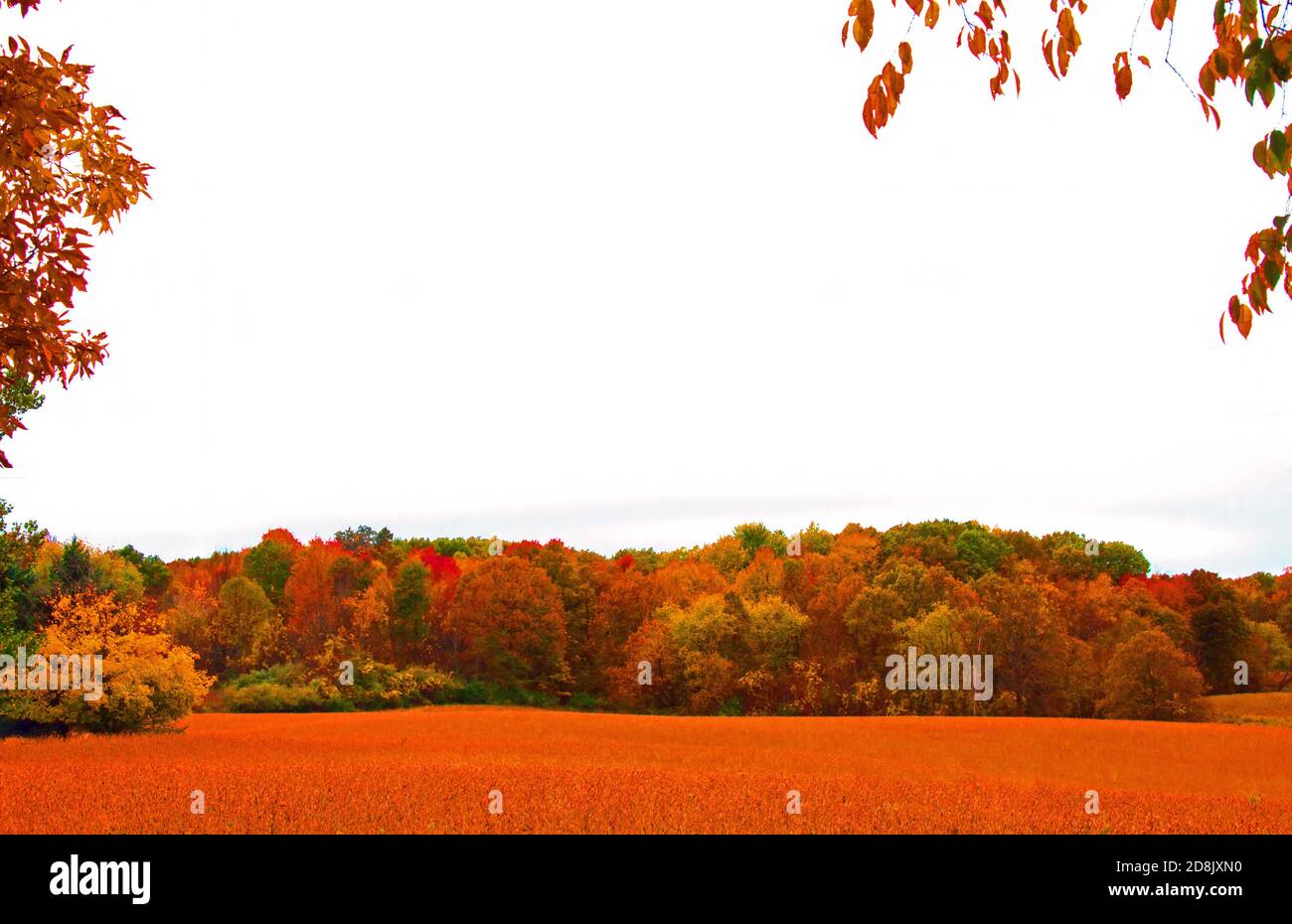 Der Herbst kommt Stockfoto