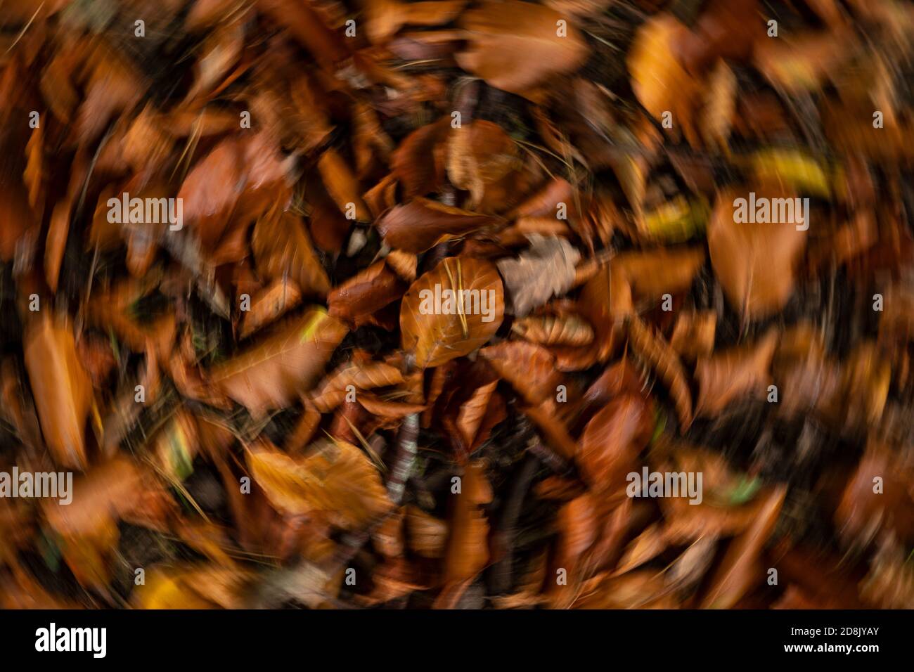 Der Herbst geht im Wepre Park mit Bewegungsunschärfen aus Stockfoto