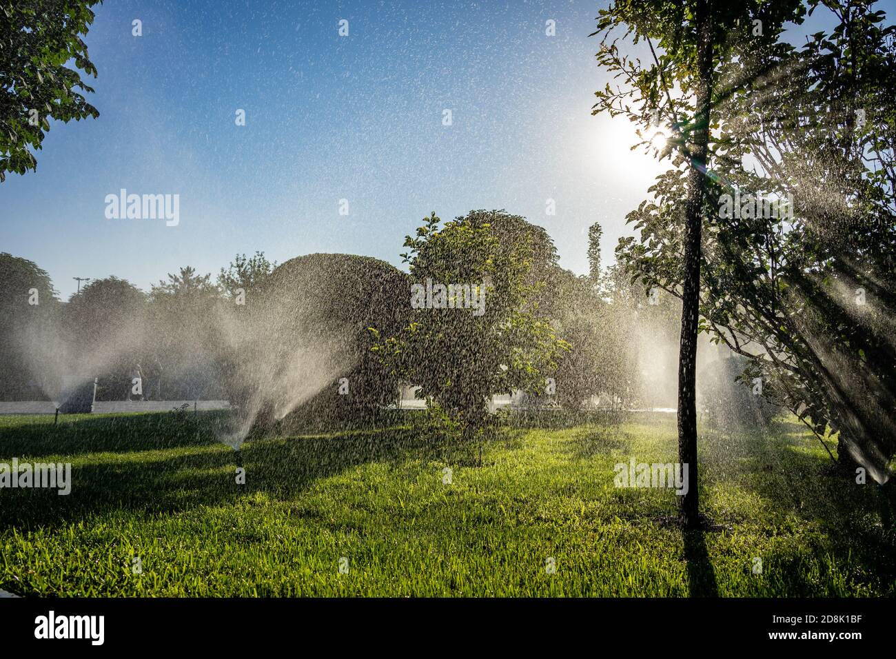 Automatische Düsen, die Wasser in die Luft sprühen, um die zu bewässern Pflanzen und Gras im öffentlichen Park Stockfoto