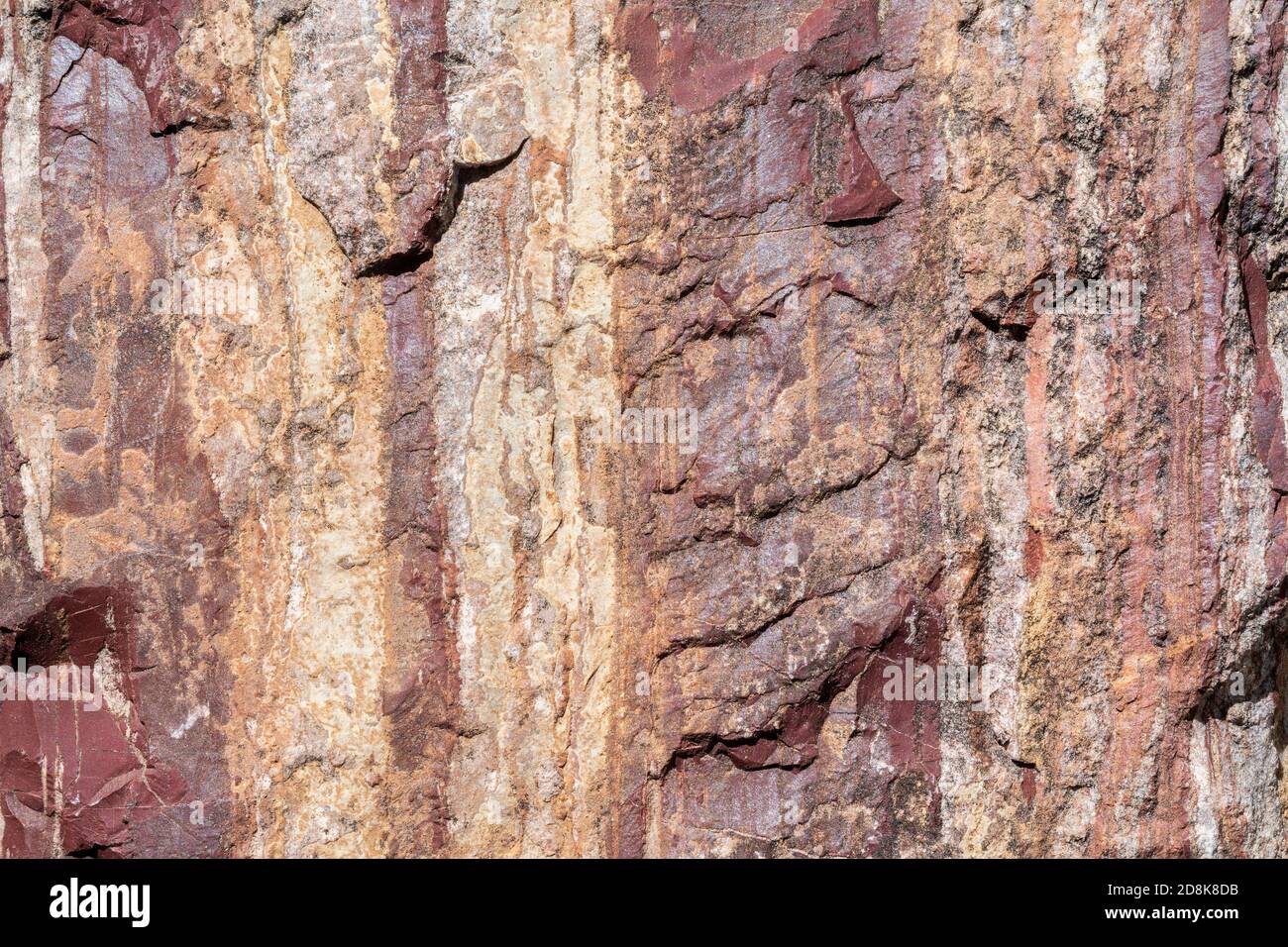 Präkambrisches metamorphes Gestein, Lake Superior Region, W. Upper Peninsula Michigan, USA, 4.5 bis 5 Milliarden Jahre alt, von Dominique Braud/Dembinsky Foto A Stockfoto