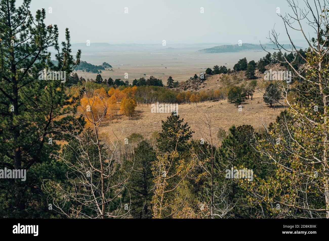 Blick vom Wilkerson Pass in Colorado im Pike National Wald im Frühherbst Stockfoto