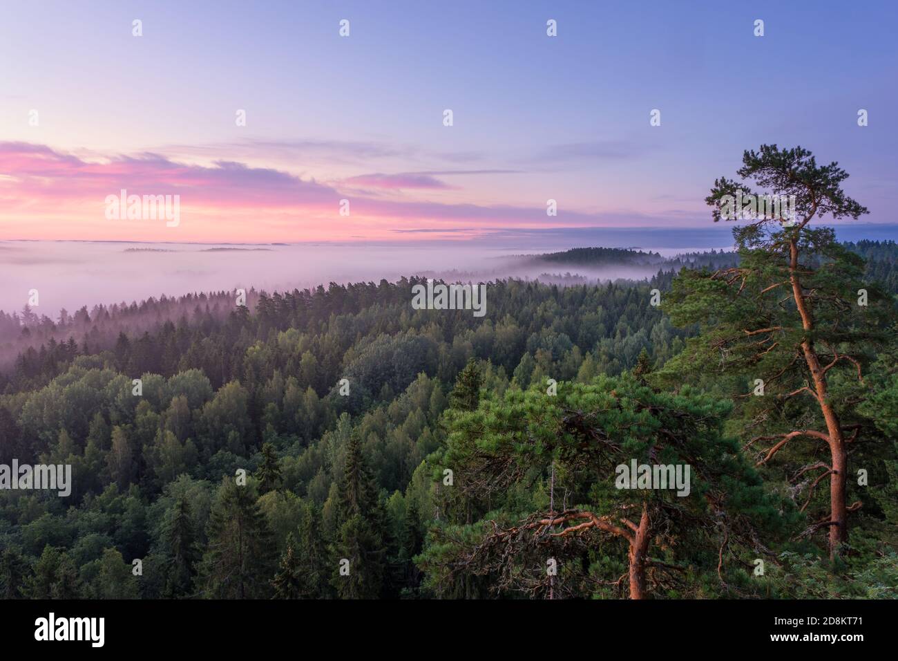 Malerische neblige Landschaft mit Stimmung Wald am Sommer, der Morgen im Nationalpark, Finnland. Hohen winkel Luftaufnahme. Stockfoto