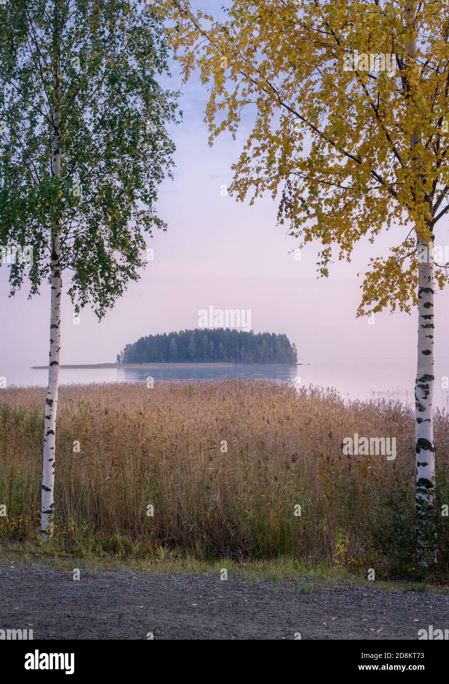 Ruhige Herbst Abendlandschaft mit Herbstfarben Birken und Ruhiger See in Finnland Stockfoto