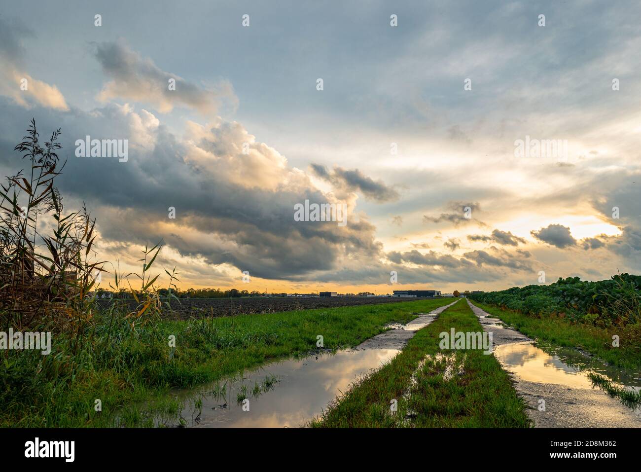 Landschaft mit regen Pfützen auf einem Feldweg, während die letzte Sonne beleuchtet Wolken wegziehen Stockfoto