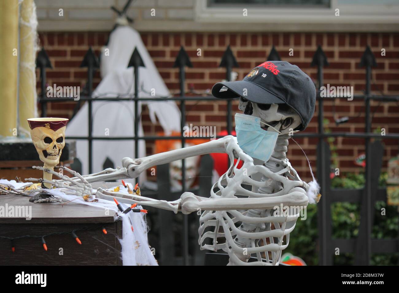 Gruselige Halloween Rasendekorationen eines Skeletts trägt eine Covid Gesichtsmaske. Stockfoto