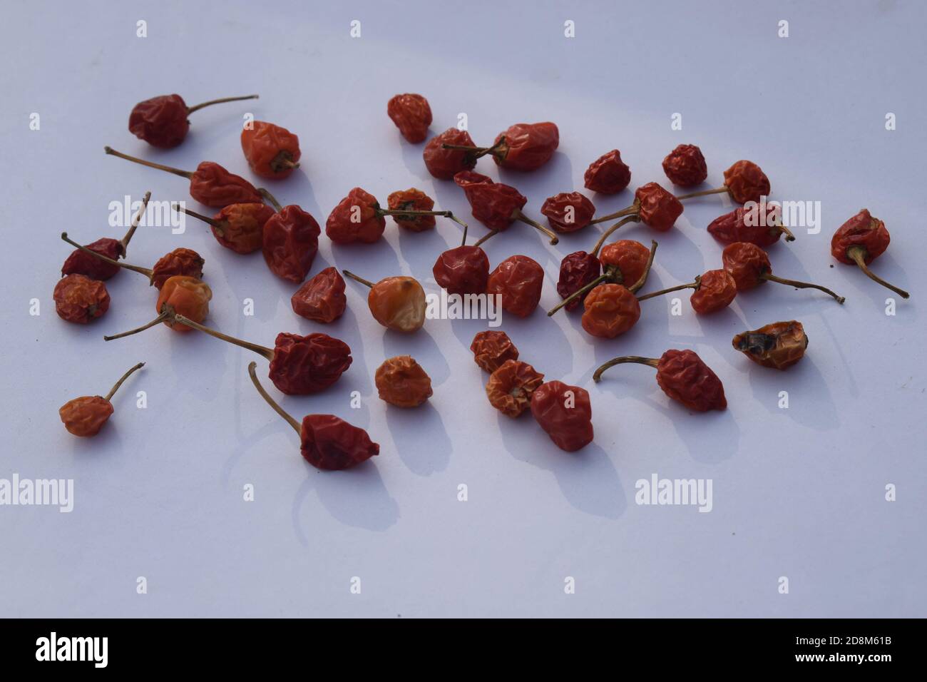 Trocken Chili Nahaufnahme Foto auf weißem Hintergrund Stockfoto