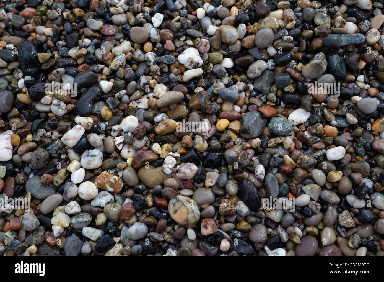 Nasse bunte Kieselsteine auf dem Meer Strand in der Nähe, Hintergrundstruktur Stockfoto