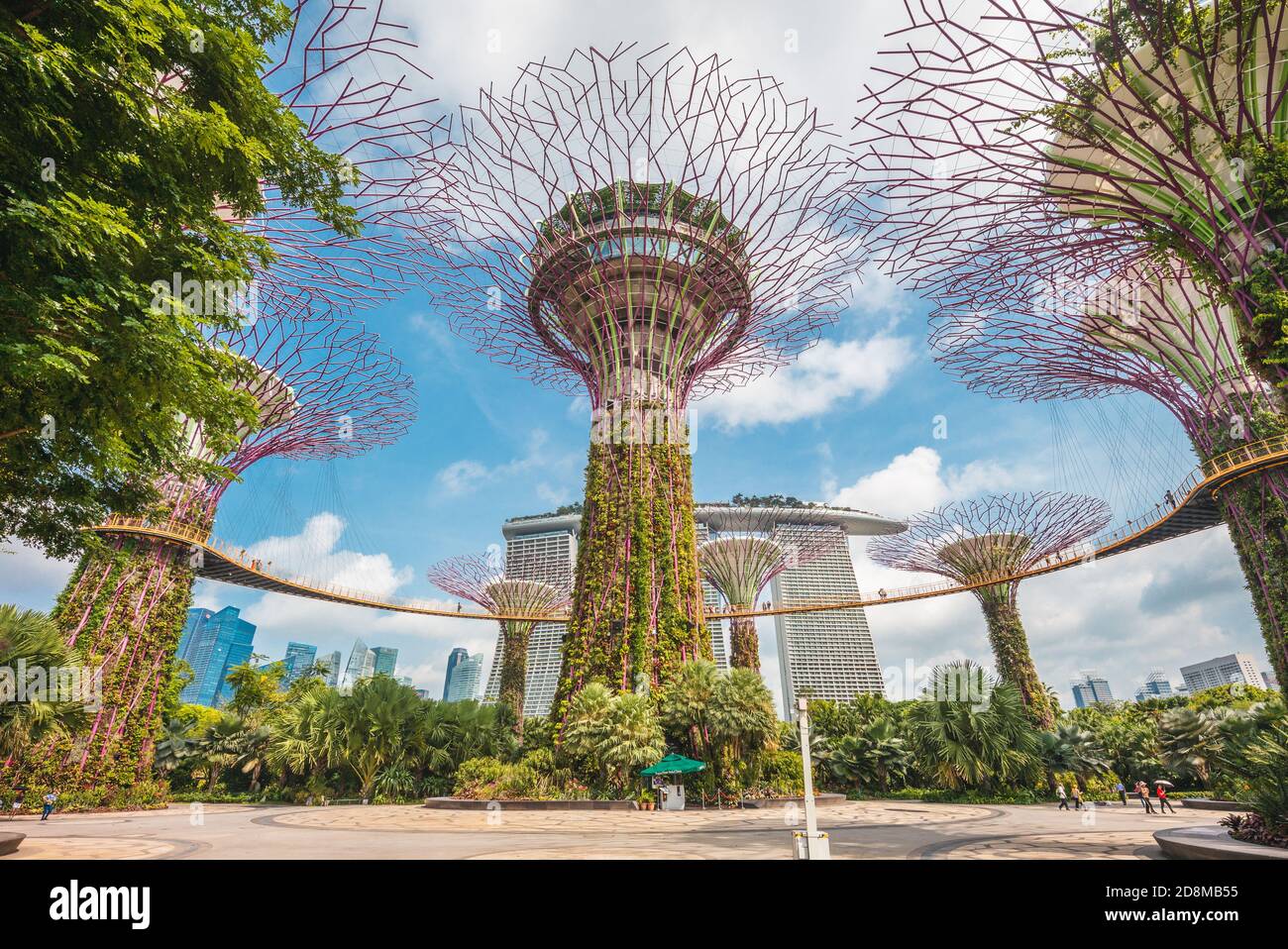 10. August 2018: Supertree Grove in Marina Bay Garden in singapur, wurden von Grant Associates konzipiert und gestaltet. Jeder Superbaum hat seine eigene Plante Stockfoto