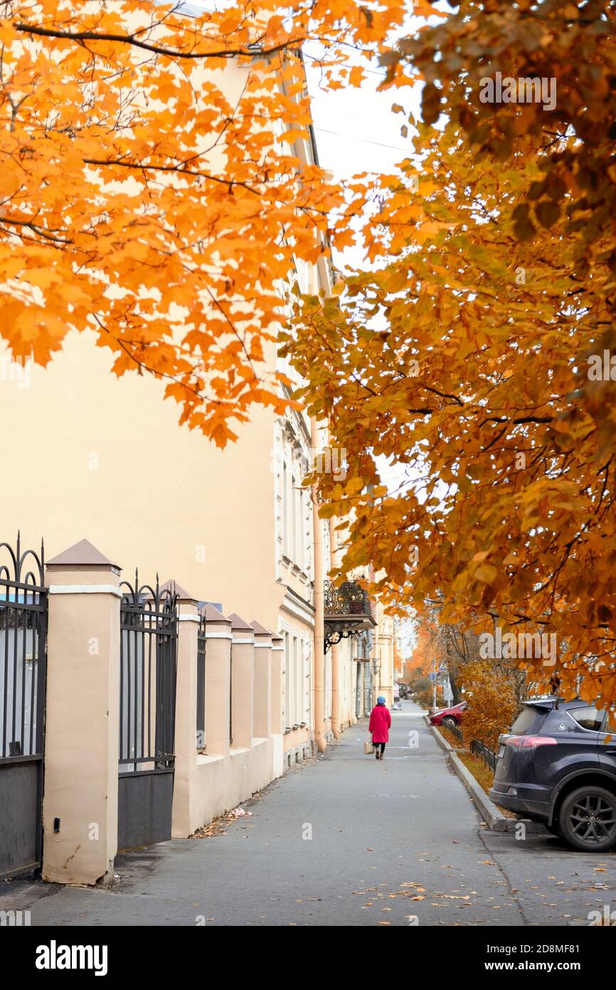 Bunte Herbststraße mit goldenen Blättern. Vertikales Foto Stockfoto
