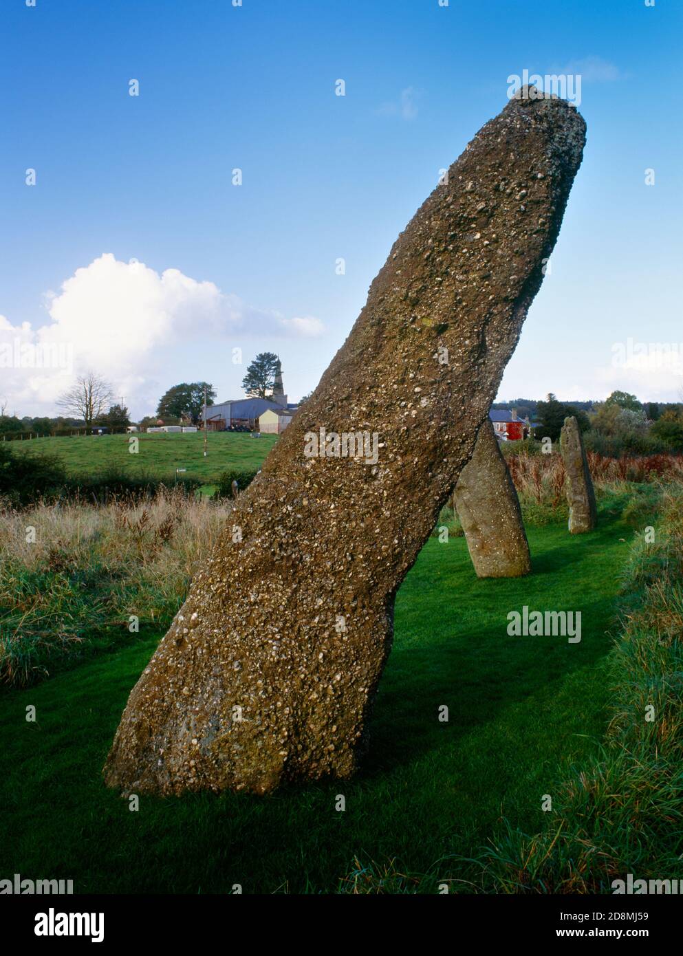 Harold's Stones prähistorische Steinreihe, Trellech, Monmouthshire, Wales, Großbritannien, Blick nordöstlich zur St. Nicholas' Church. Drei Säulen aus lokalem 'Puddingstein'. Stockfoto