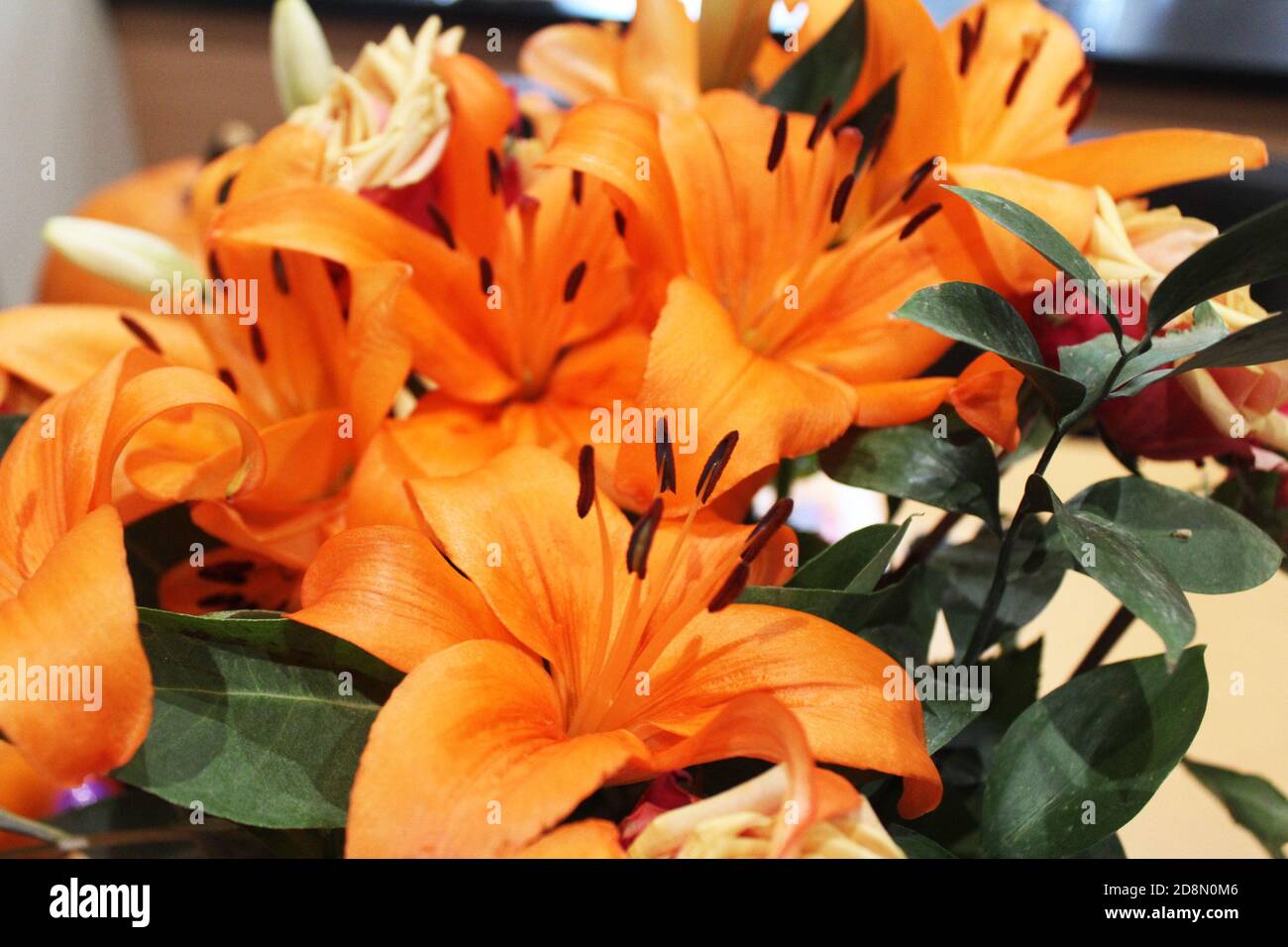 Nahaufnahme Blumenstrauß/Strauß von Orangen-Grafschaft-Königlilien (Lilium) und orangen Rosen (Rosa), orangen Blumen Stockfoto