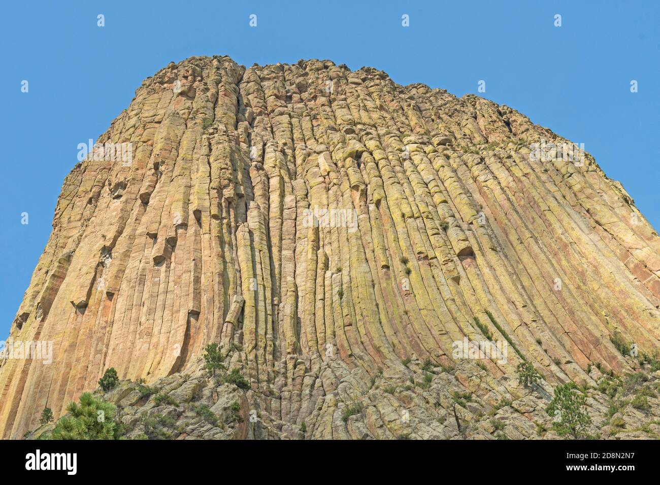 Erodierte Postpile-Säulen auf einem dramatischen Monolith am Devils Tower National Monument in Wyoming Stockfoto