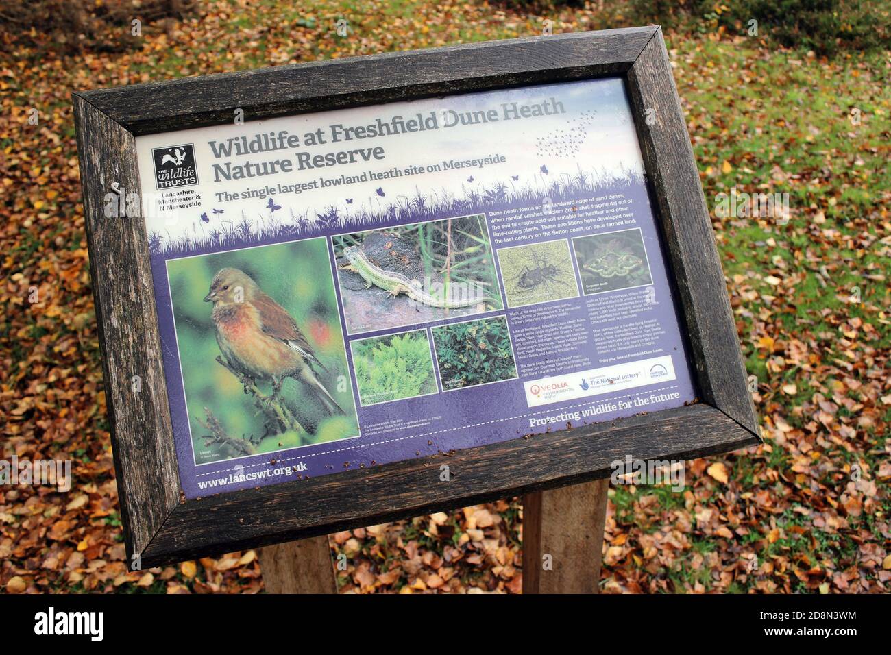 Schild zeigt Wildtiere im Freshfield Dune Heath Nature Reserve, Merseyside, Großbritannien Stockfoto
