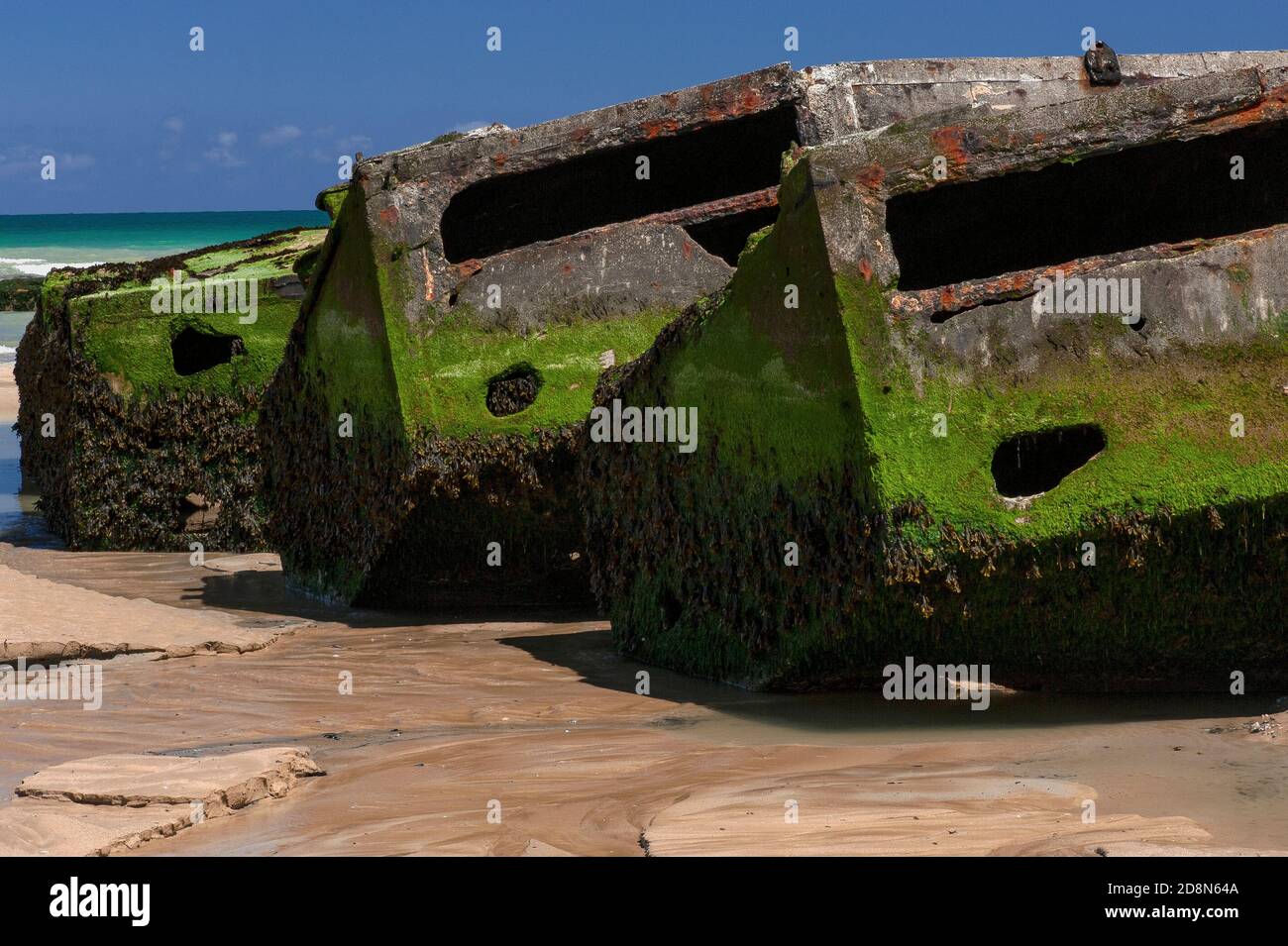 Seetang hängt von Relikten der alliierten Landung ‘D Zweiten Weltkriegs, die nur bei Ebbe am ‘Gold Beach’ in Arromanches-les-Bains, Calvados, Normandie, Frankreich zu Fuß erreichbar sind. Die verfallenden Betonfertigteile waren Teil von Port Winston oder Mulberry Harbour B, einem von zwei vorgefertigten Häfen, die über den Ärmelkanal geschleppt wurden, um der alliierten Invasion des von den Nazis besetzten Europa zu helfen. Die 600,000-Tonnen-Struktur wurde Offshore montiert und dann nach D-Day am 6. Juni 1944 verwendet, um 2.5 Millionen britische und kanadische Truppen, eine halbe Million Fahrzeuge und vier Millionen Tonnen Lieferungen landen. Stockfoto