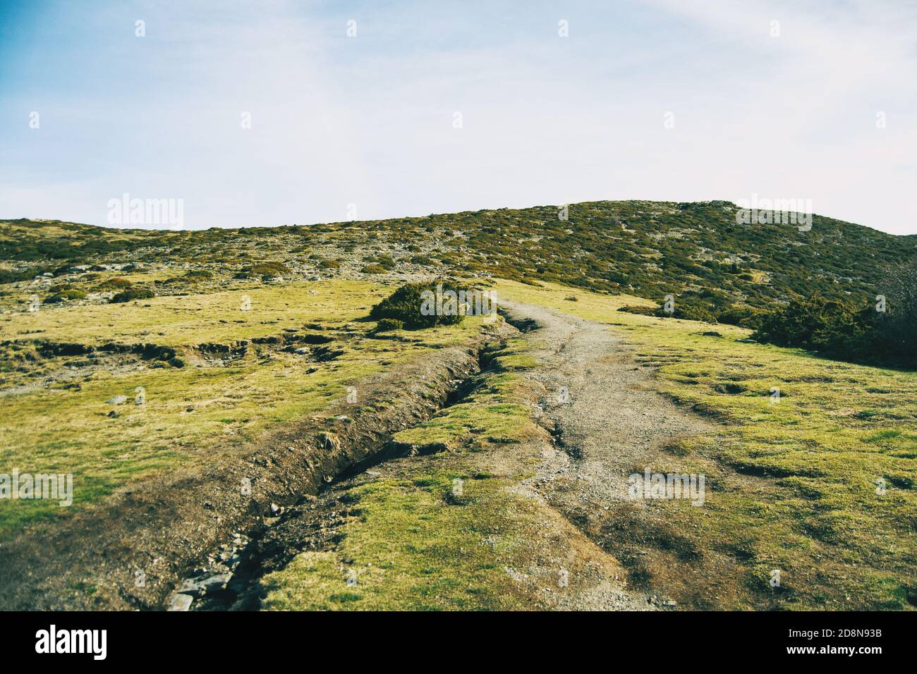 Die Landschaft des Feldes mit dem Falz und dem Hügel Bedeckt mit grünen Sträuchern Stockfoto