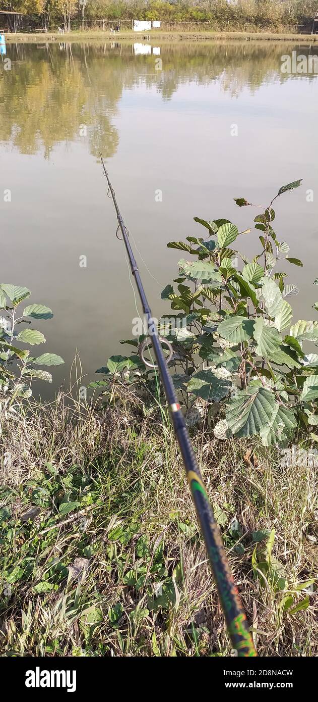 Forellenfischen im See mit Spinntechnik. Stockfoto