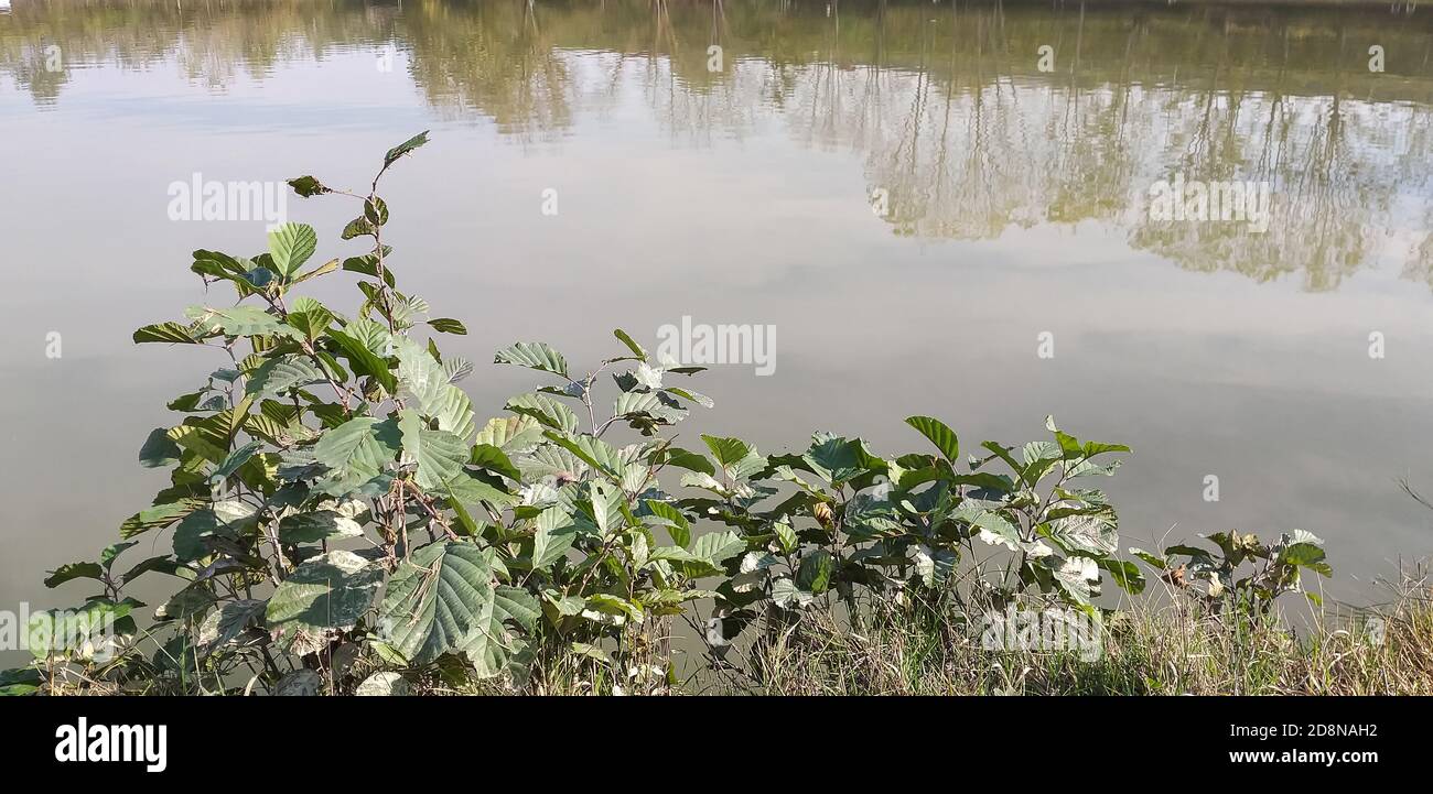 Forellenfischen im See mit Spinntechnik. Stockfoto
