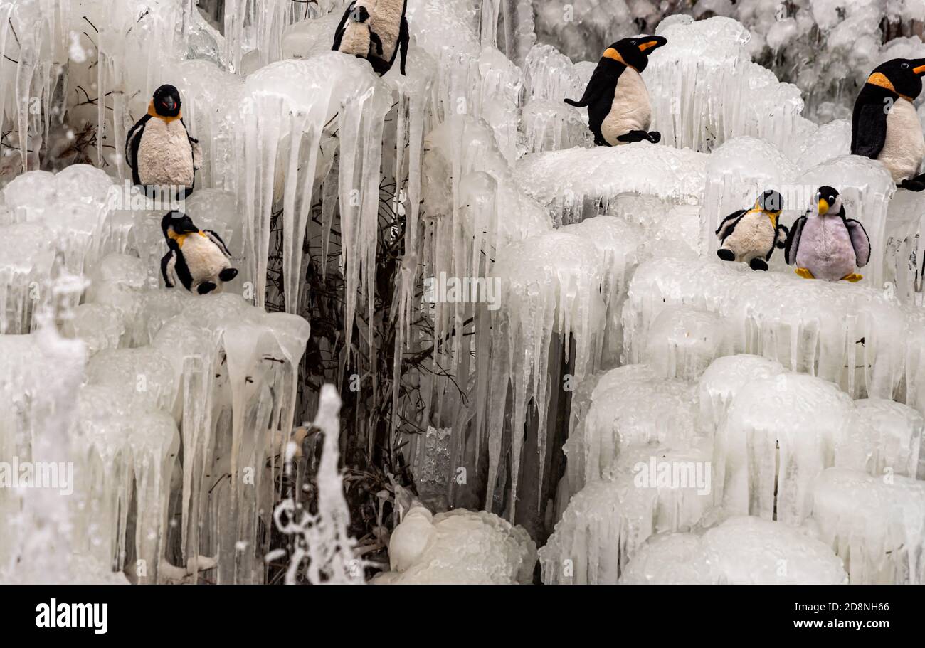 Eiskristalle. Eiszapfen mit Pinguin-Spielzeug. Freiburg, Schweiz  Stockfotografie - Alamy