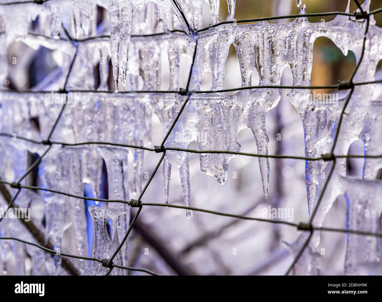 Gefrorener Stacheldraht. Nahaufnahme eines eisbedeckten Zauns im Winter. Stockfoto