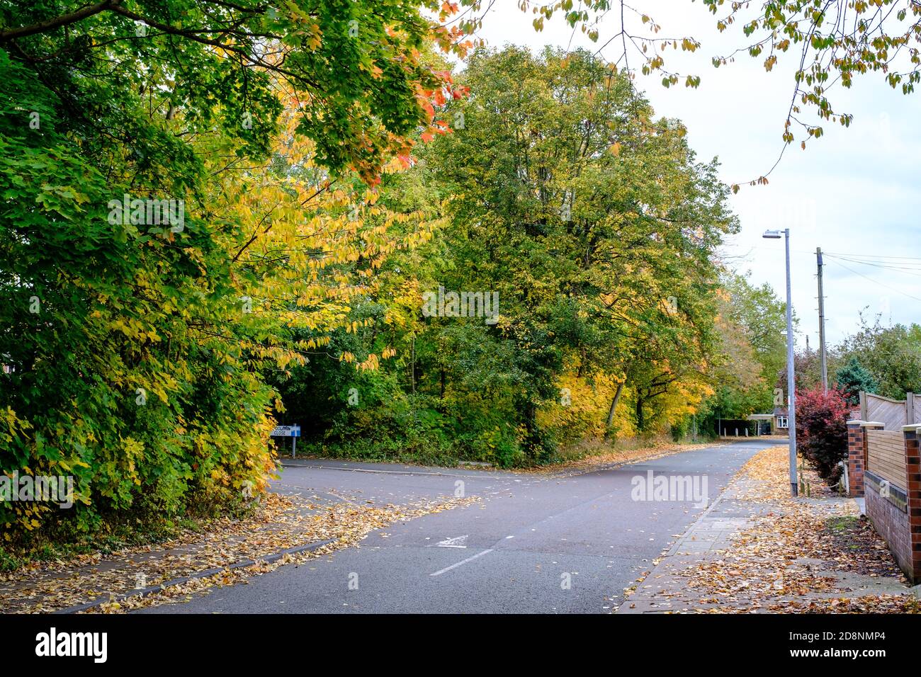 Spektakuläre Herbstfärbung in Bradford Road, Ellesmere Park, Eccles, Salford, Greater Manchester, Großbritannien Stockfoto