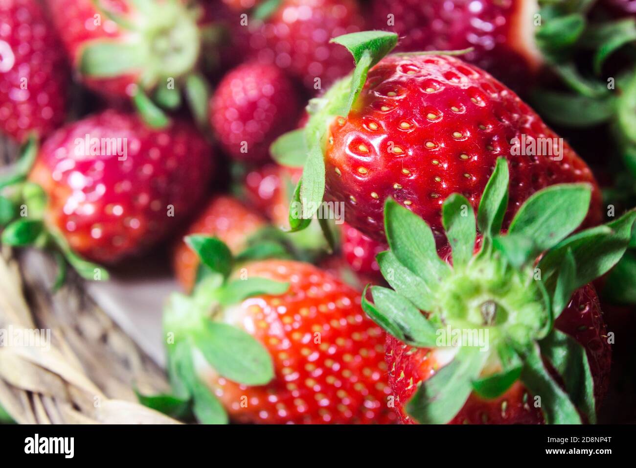 Einige frische Erdbeeren mit grünen Sepalen noch angebracht. Beispiel der Komplementärfarben rot - grün Stockfoto