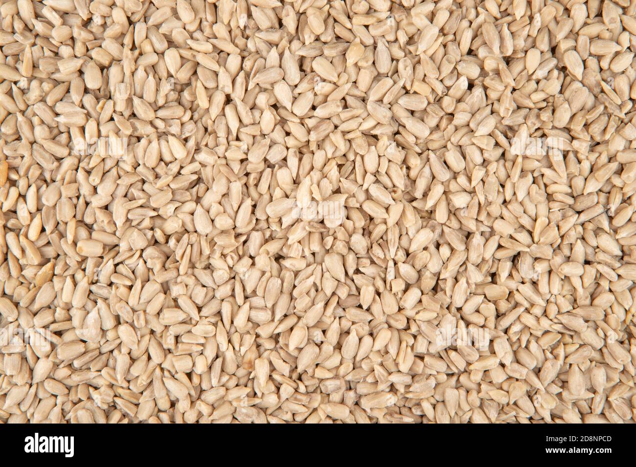 Geschälte Sonnenblume Textur - Draufsicht und Nahaufnahme der Sonnenblume Seeds Stockfoto