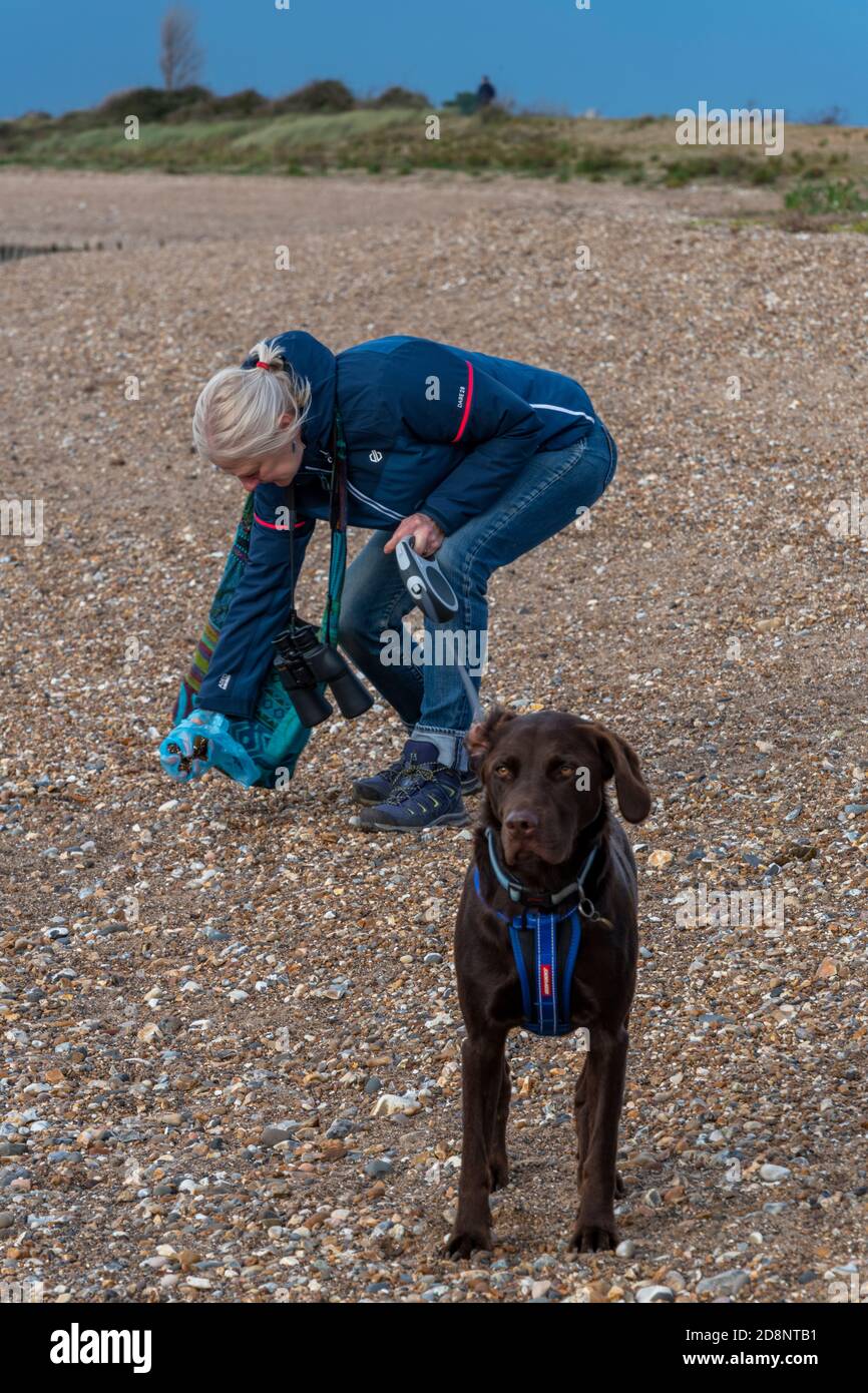 Eine Hundespaziergängerin, die am Strand von snettisham in norfolk Hundekot, Poo oder Kot mit einer Tüte aufholt, um nach einem Hund aufzuräumen. Stockfoto