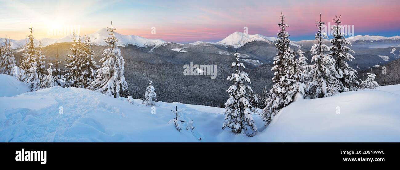 Landschaftspanorama ein frostiger Morgen in den Bergen. Karpaten, Ukraine, Europa Stockfoto