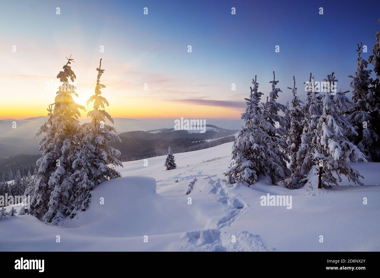 Winterlandschaft mit Sonnenuntergang frostigen Abend in einem Bergtal. Karpaten, Ukraine, Europa Stockfoto