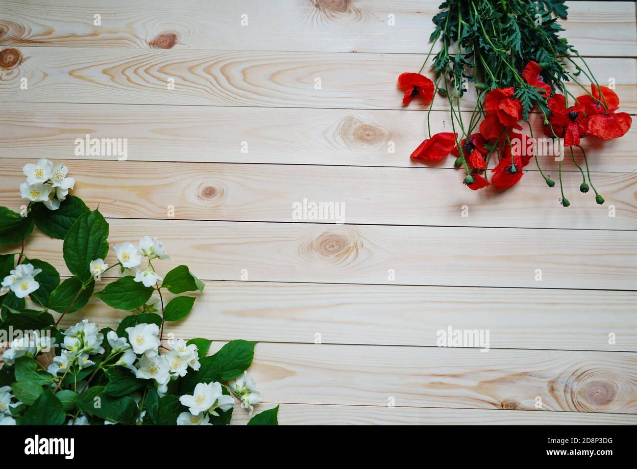 Hintergrund mit roten Mohnblumen und weißen Blüten von Jasmin auf Die hölzernen Bretter mit der Holzstruktur Stockfoto