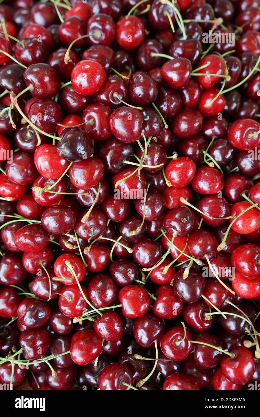 Leuchtend rote Kirsche Beeren vertikales Bild Stockfoto