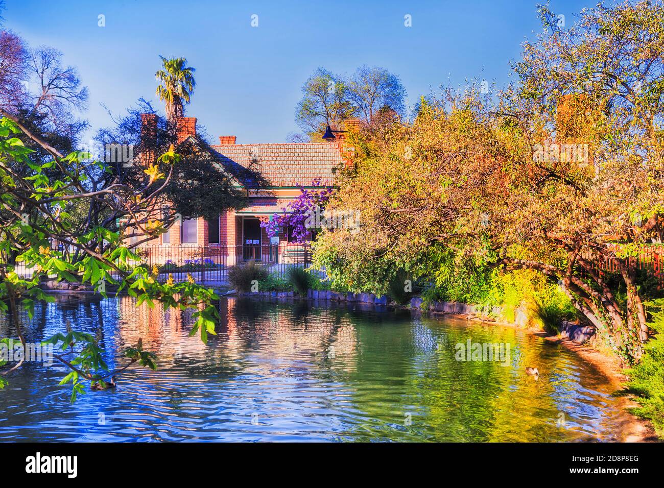 Vogelteich im Machattie Park der Stadt Bathurst an einem sonnigen Frühlingstag mit blühenden Bäumen. Stockfoto