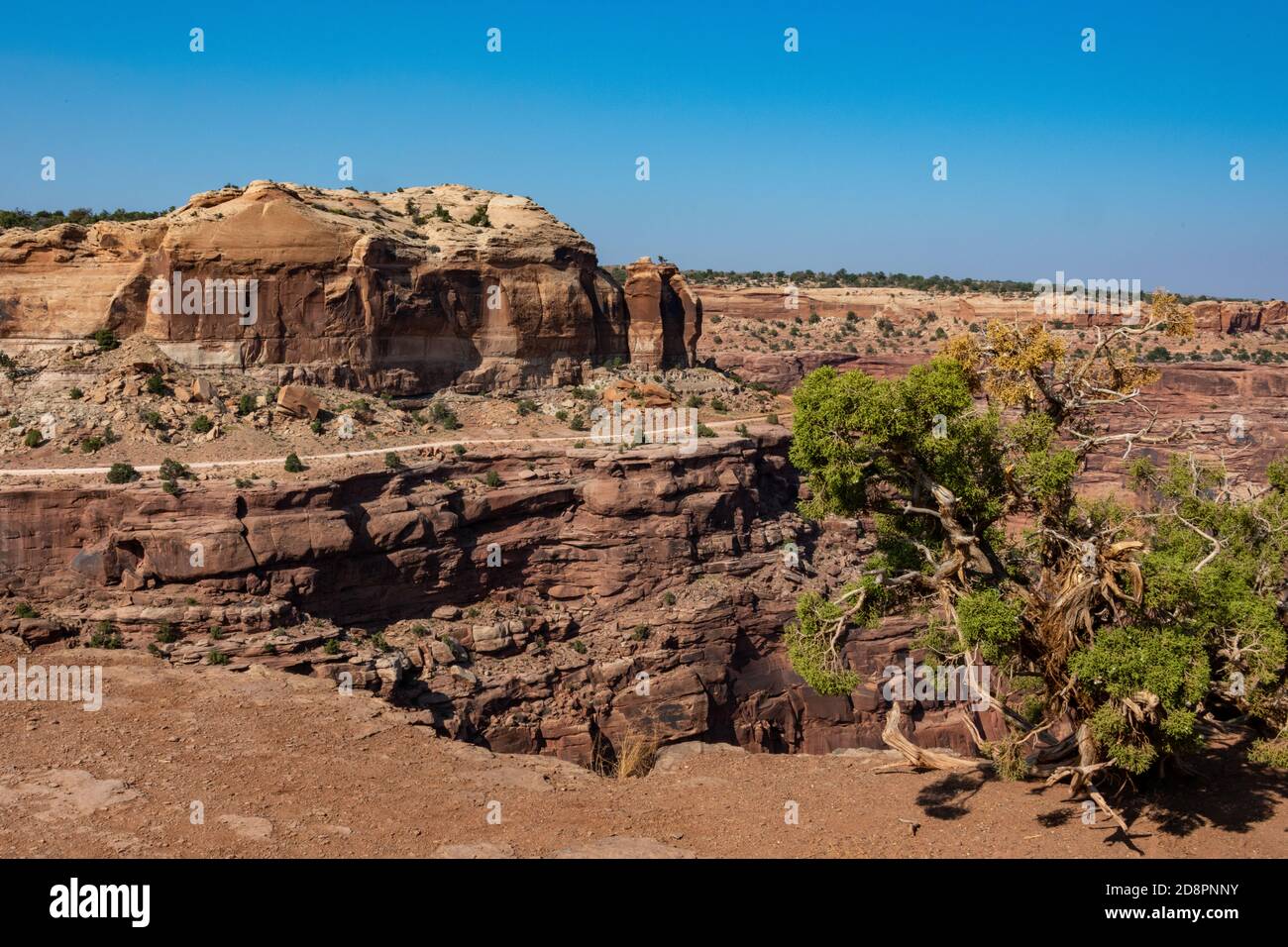 Canyonlands National Park im Herbst Stockfoto