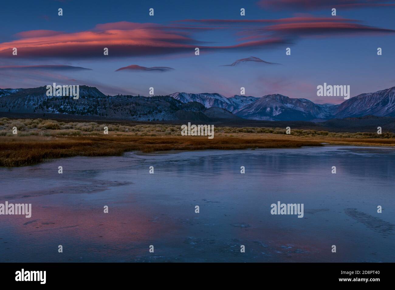 Dawn, Frozen Wetlands, Mono Basin National Forest Scenic Area, Inyo National Forest, Eastern Sierra, Kalifornien Stockfoto