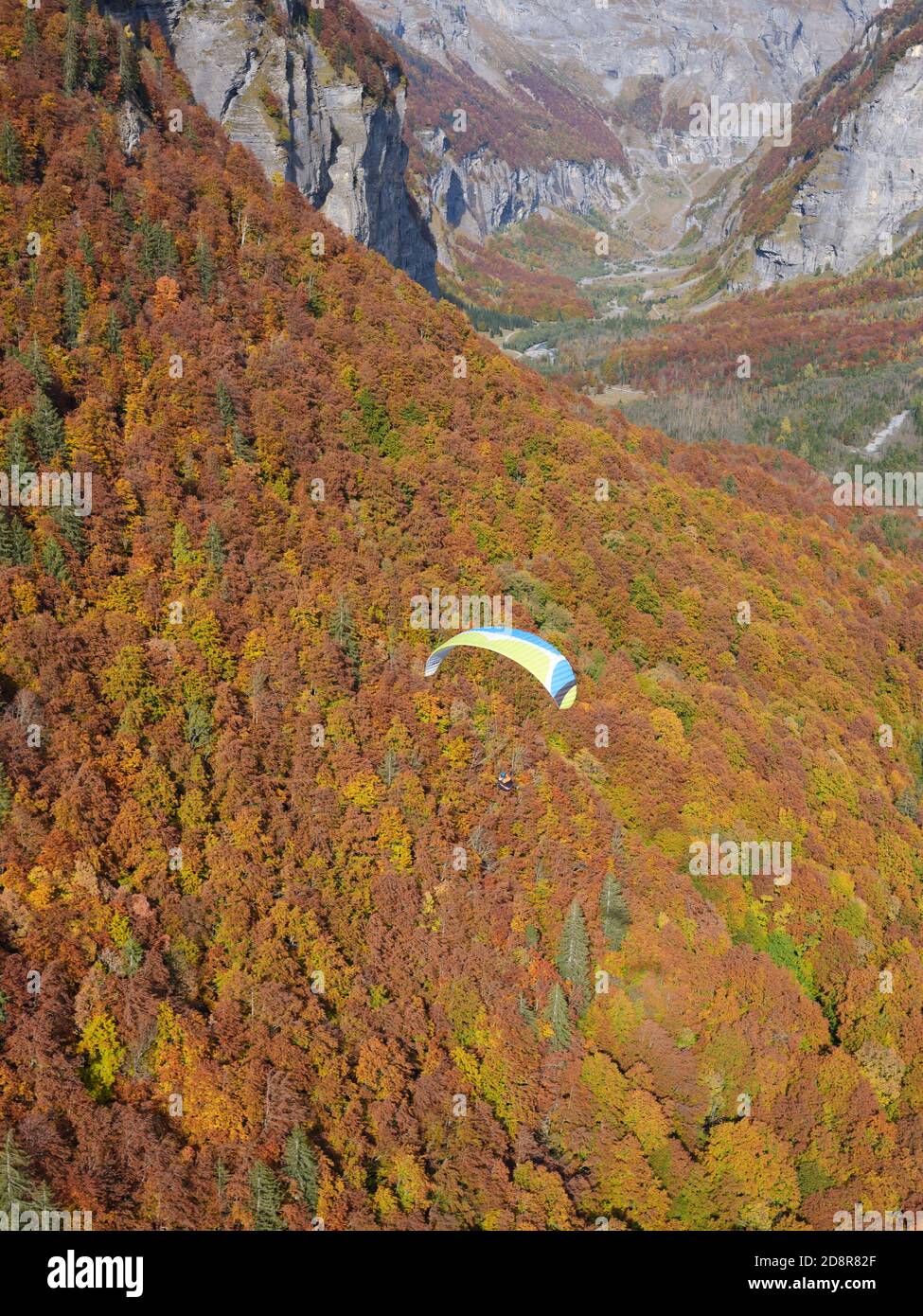 LUFT-LUFT-ANSICHT. Gleitschirmfliegen über einem Wald mit herbstlichen Farben, die in Richtung eines Kastenschluckes ragen, der als das Ende der Welt bezeichnet wird. Sixt-Fer-à-Cheval, Frankreich. Stockfoto