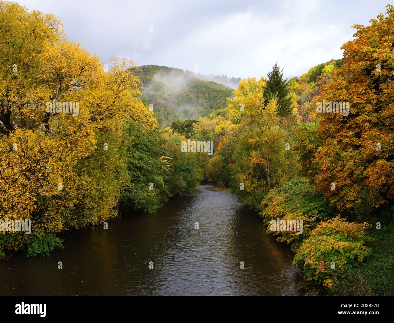 Farbenprächtiges Herbstlaub am Ufer des Thur-Flusses. Thann, Haut-Rhin, Elsass, Grand Est, Frankreich. Stockfoto