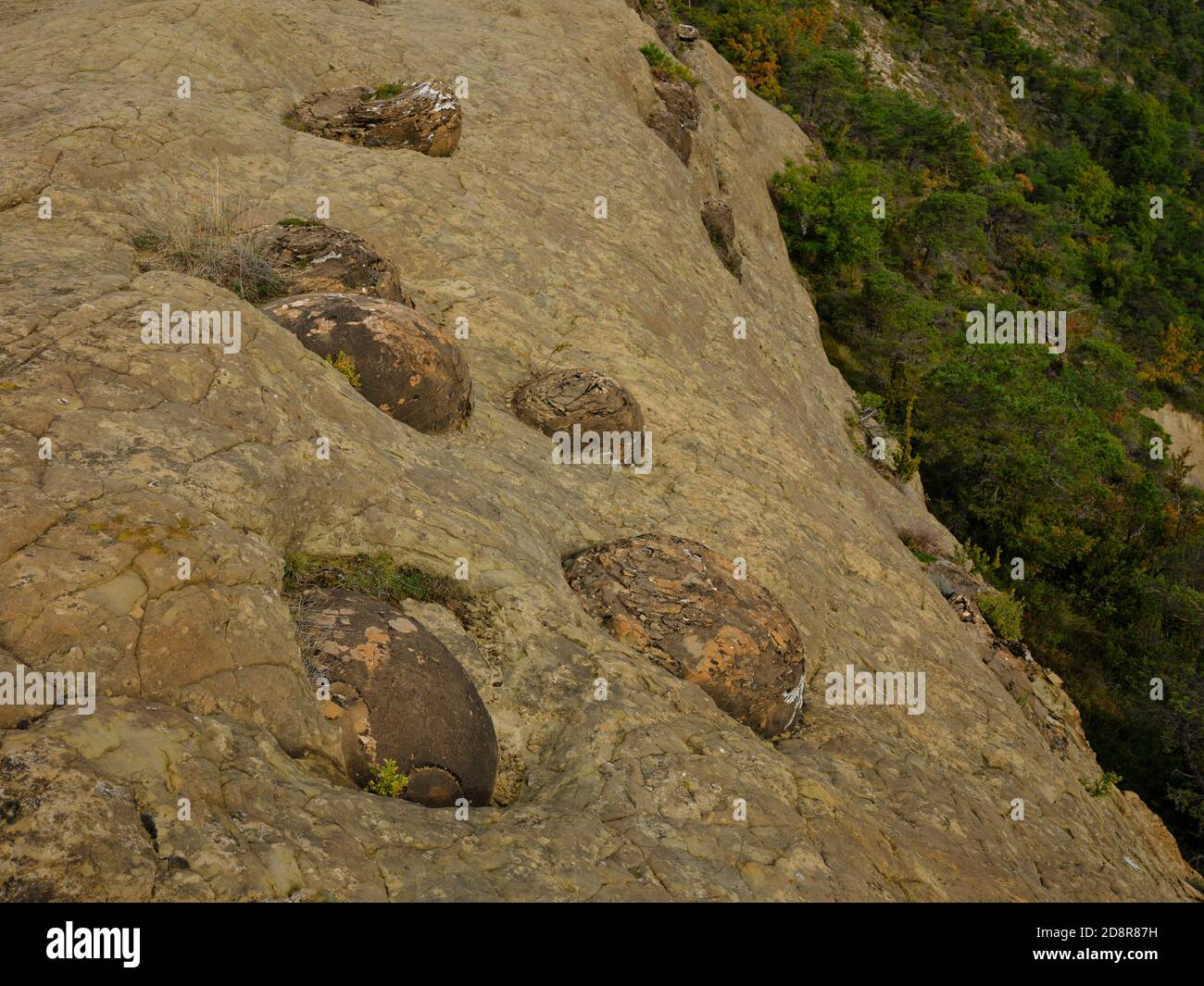 Rätselhafte Ursprünge sind diese Sandsteinkugeln in eine weichere, erodiertere Sandsteinschicht eingebettet. Saint-André-de-Rosans, Hautes-Alpes, Frankreich. Stockfoto